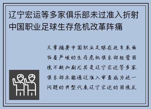 辽宁宏运等多家俱乐部未过准入折射中国职业足球生存危机改革阵痛
